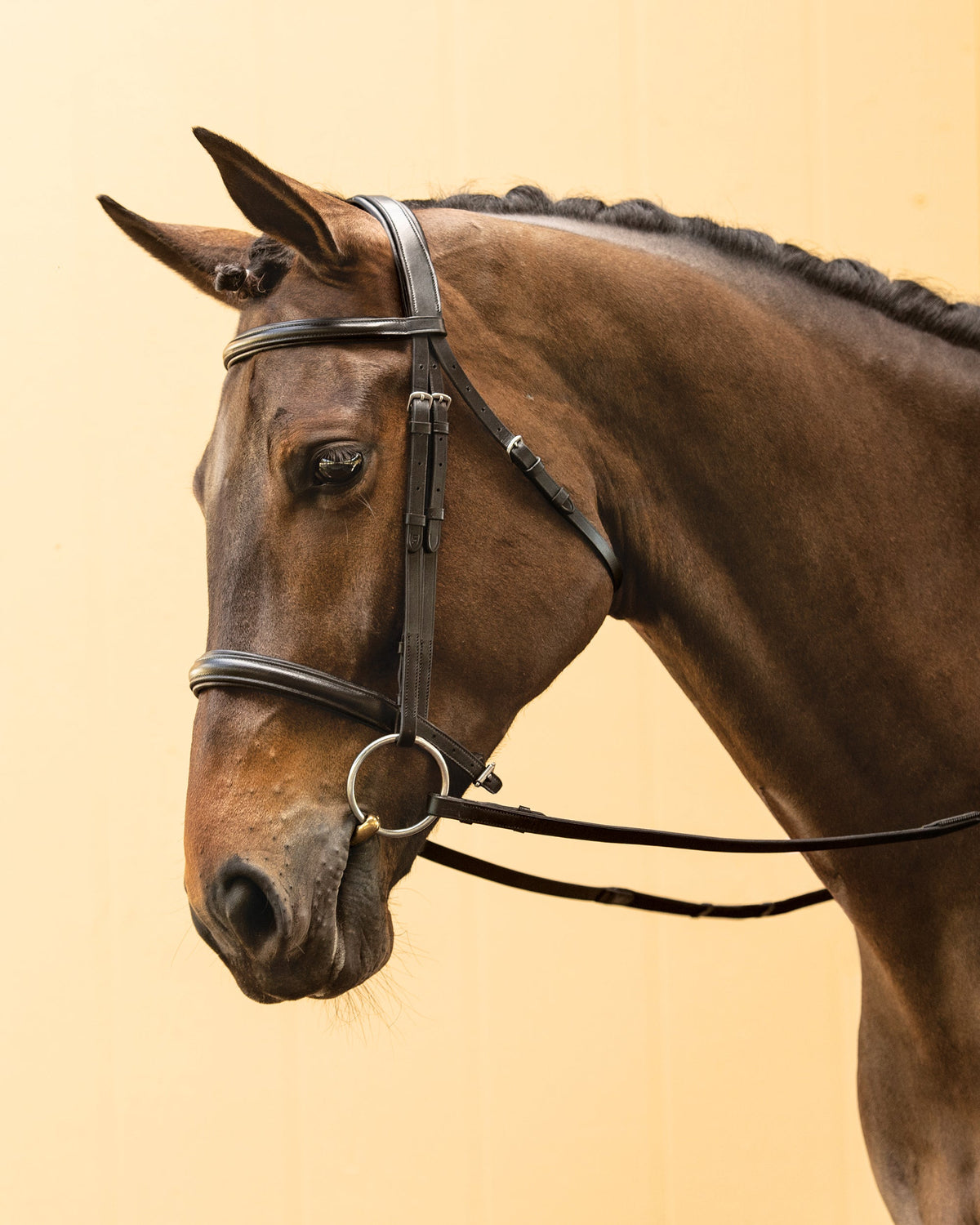 Single Crown Classic Dressage Bridle