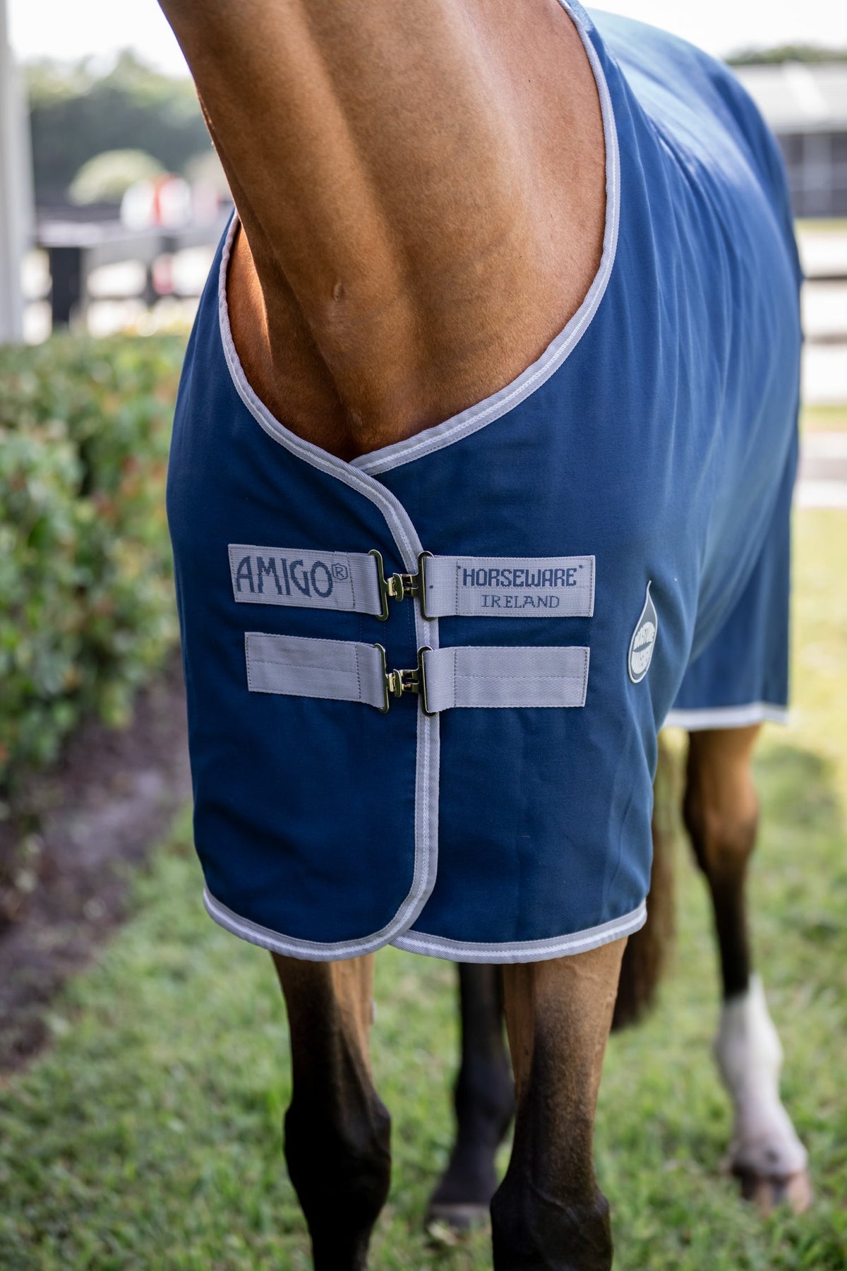 Stable Sheet–Core Color